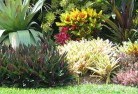 Ringbarkplant-nursery-25.jpg; ?>