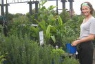 Ringbarkplant-nursery-5.jpg; ?>